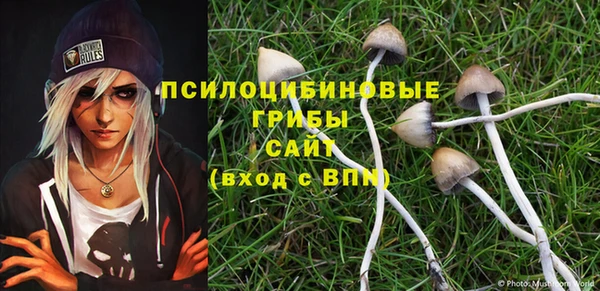 эйфоретик Белокуриха