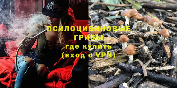 дурь Белоозёрский